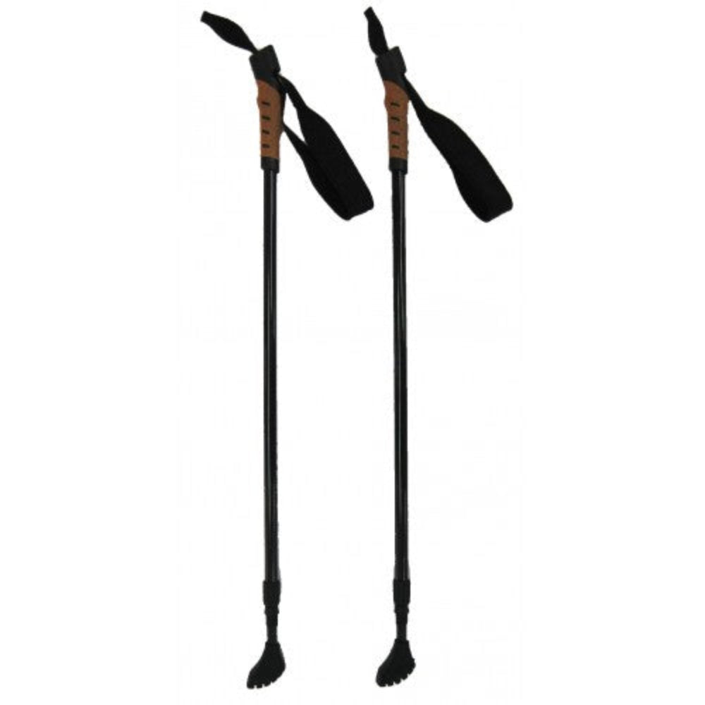 nordic walking sticks