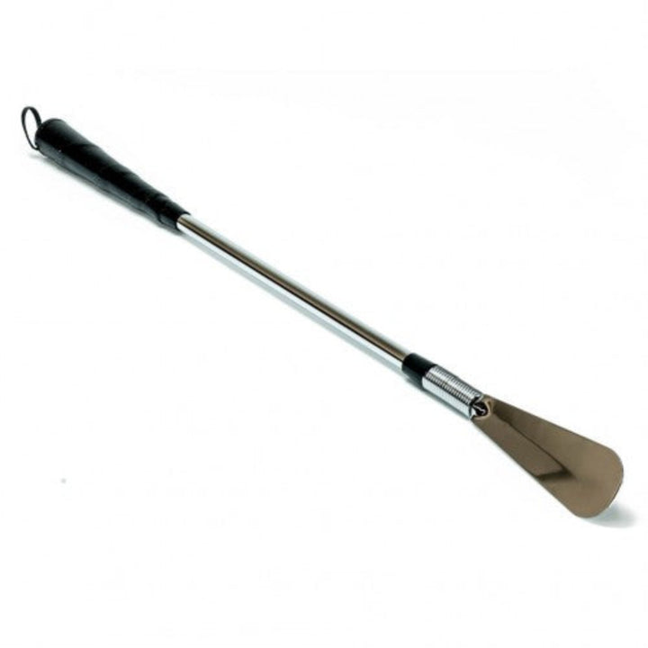 shoe horn with spring